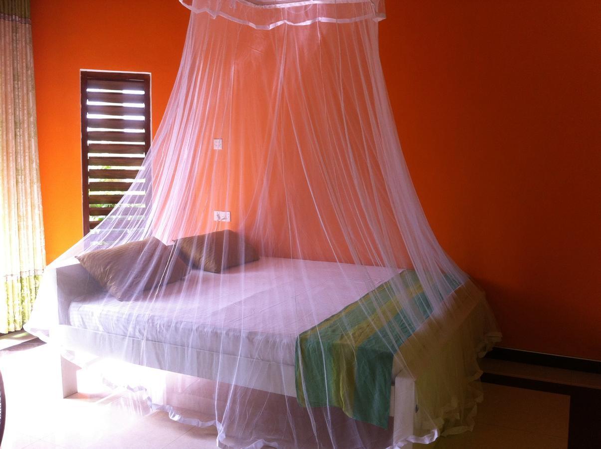 Bee Nest Bed & Breakfast Negombo Exteriör bild
